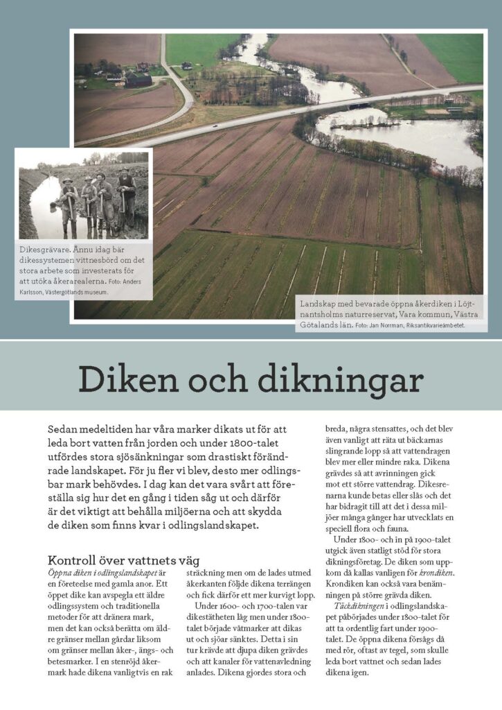 Bild på framsidan av faktabladet "Diken och dikningar". Ett äldre foto på dikesgrävare i dike och ett foto som visar ett flackt jordbrukslandskap med parallella åkerdiken.